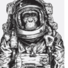 Profile picture of Monkey Moon