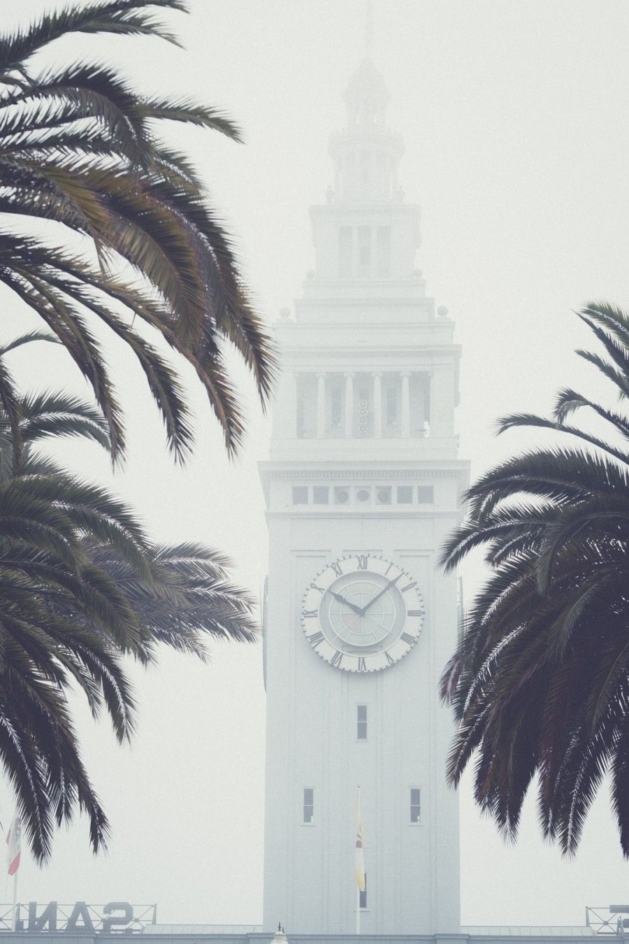 w-palm-trees-in-front-of-clock-tower