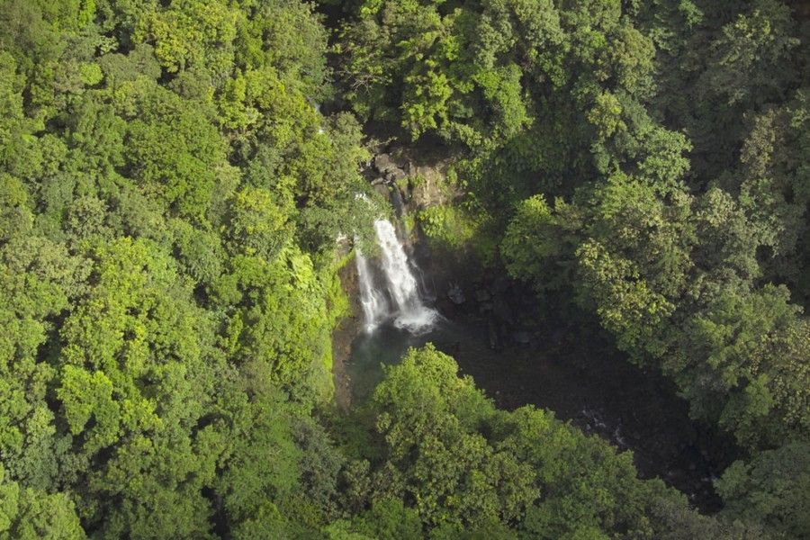 aerial-view-of-trees-near-waterfalls
