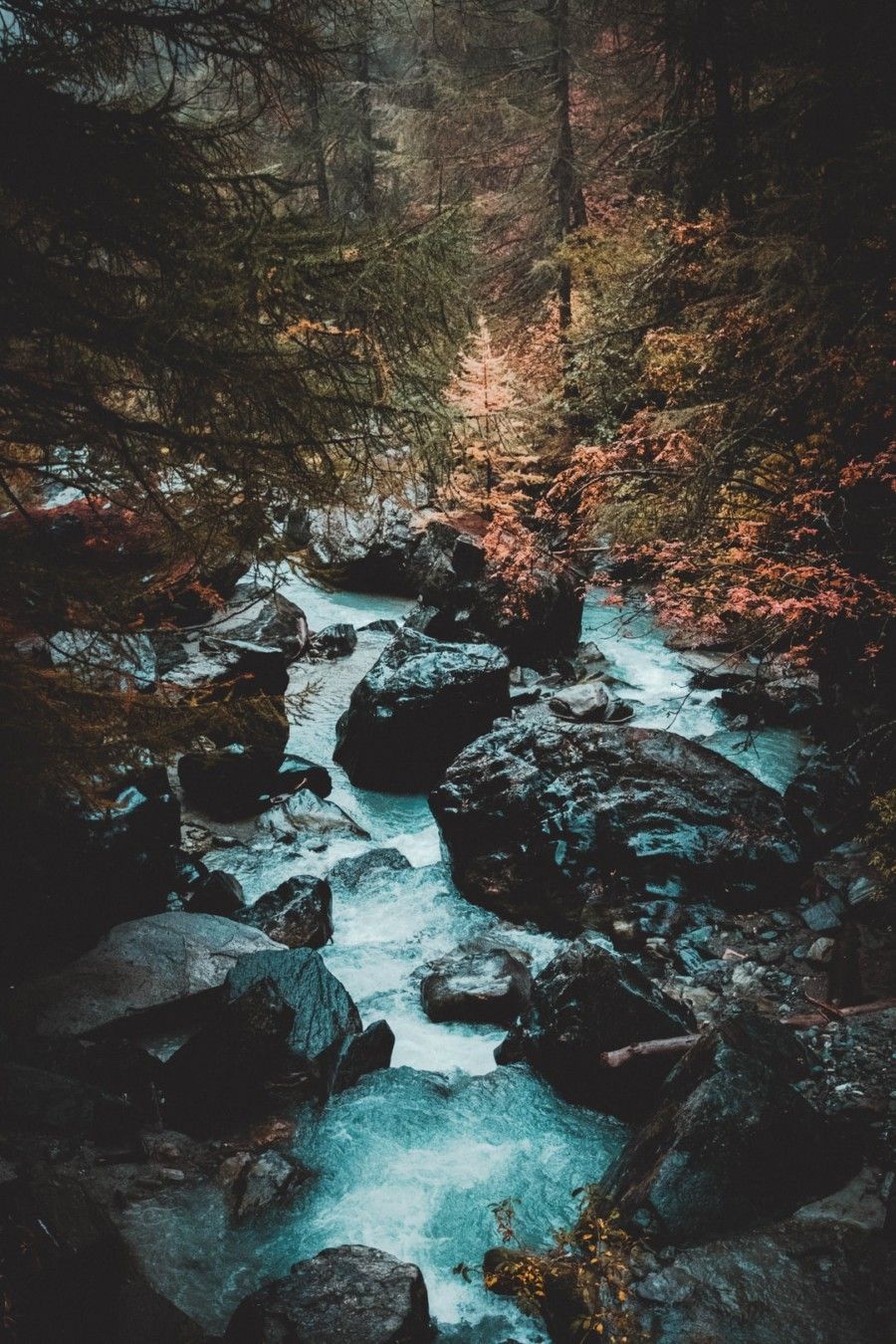 gray-rocks-in-river-between-trees