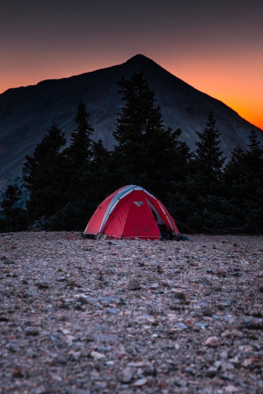 red-and-gray-done-tent-near-tree