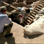 novye-zahoroneniya-egipta-egypts-new-tomb-revealed-2006g