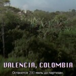 vozmeshhenie-ushherba-collateral-damage-2002g